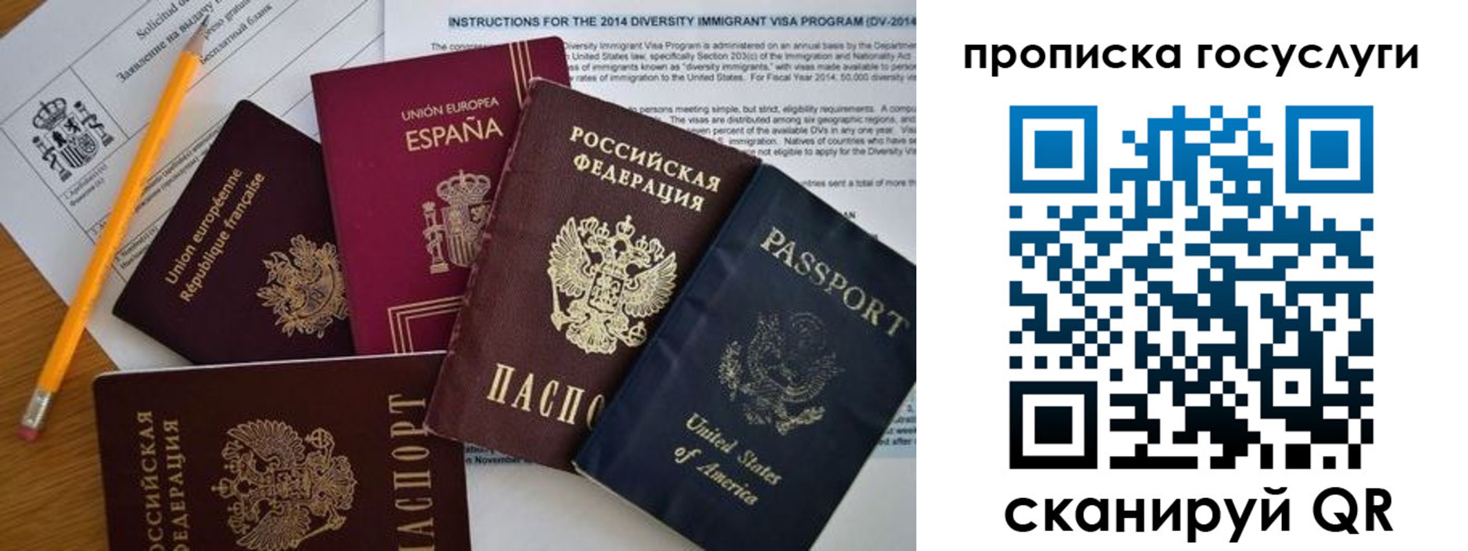 прописка гарантия в Ясном